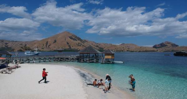 pulau komodo