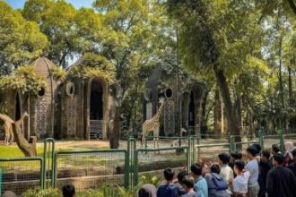 ragunan