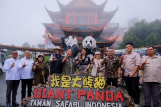 destinasi taman safari