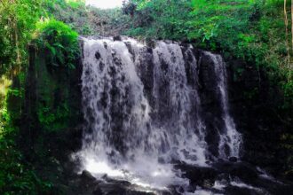 jantur mapan-1