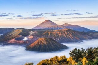 bromo