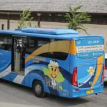 bus bali