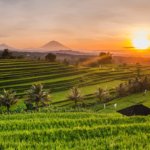 desa ubud bali