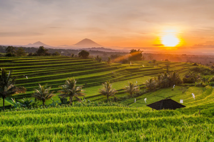 desa ubud bali