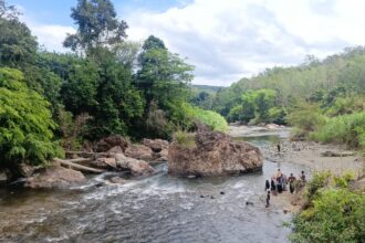 kalimantan
