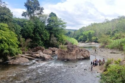 kalimantan