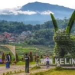 kebun refugia