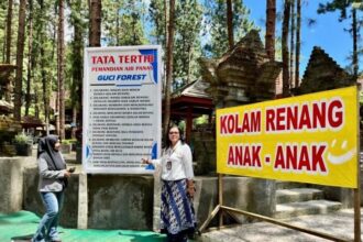 hutan guci