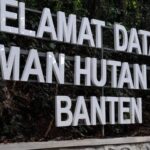 taman hutan raya