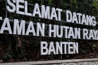 taman hutan raya
