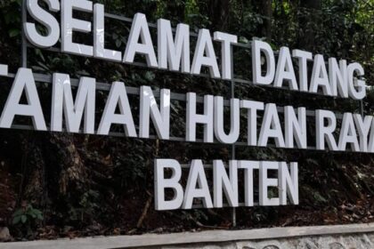 taman hutan raya