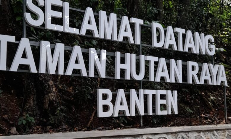taman hutan raya