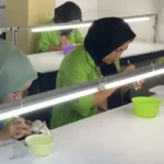 Sejumlah pekerja melakukan proses pencabutan bulu dan kotoran dari sarang walet