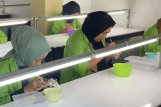 Sejumlah pekerja melakukan proses pencabutan bulu dan kotoran dari sarang walet