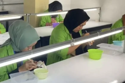 Sejumlah pekerja melakukan proses pencabutan bulu dan kotoran dari sarang walet