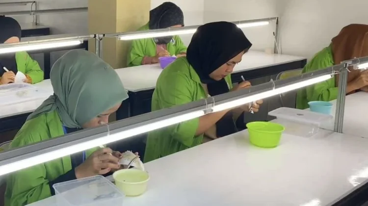 Sejumlah pekerja melakukan proses pencabutan bulu dan kotoran dari sarang walet