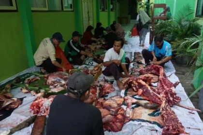 Sejumlah petugas sedang memotong dan mengemas daging kurban saat momen Iduladha di MTsN 1 Banyuwangi tahun 2025