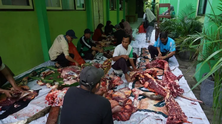Sejumlah petugas sedang memotong dan mengemas daging kurban saat momen Iduladha di MTsN 1 Banyuwangi tahun 2025