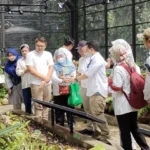 Sejumlah wisatawan mengunjungi Taman Nepenthes Kebun Raya Bogor