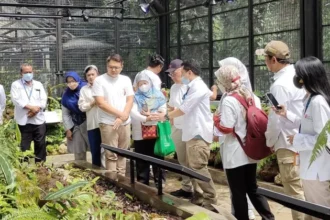 Sejumlah wisatawan mengunjungi Taman Nepenthes Kebun Raya Bogor