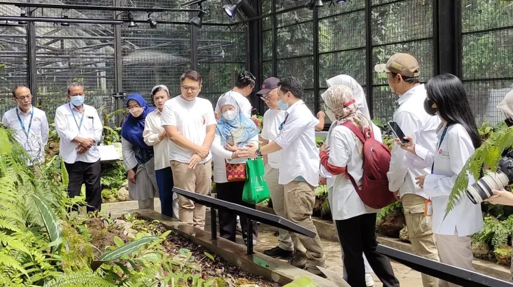Sejumlah wisatawan mengunjungi Taman Nepenthes Kebun Raya Bogor