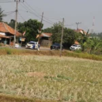 Salah satu sudut lahan pertanian sawah yang telah kering di Kabupaten Bekasi