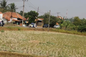 Salah satu sudut lahan pertanian sawah yang telah kering di Kabupaten Bekasi