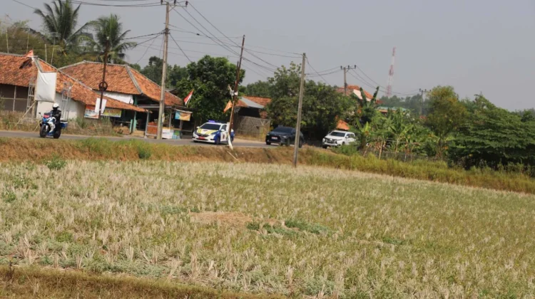 Salah satu sudut lahan pertanian sawah yang telah kering di Kabupaten Bekasi
