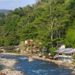 bukit lawang
