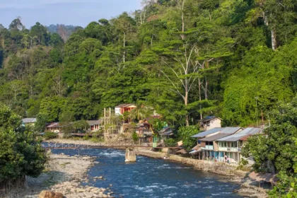 bukit lawang